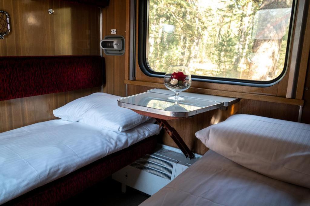 Palanga Camping Compensa Hostel Exteriér fotografie